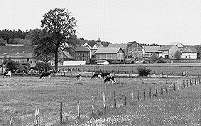 Ansicht von Haarhausen